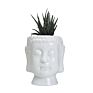 flower pots ceramic