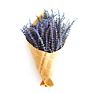 C2146 Natural Real Pressed Florals Dry Lavender Bouquet Dried Lavender Flowers for Wedding Home Decoration