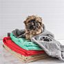 custom dog pet towel