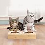 Pet Bowl