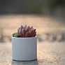 Circle Cement Flower Pots Nordic Concrete Decorative Table Flower Pots in White Pot Flower Garden Hotel