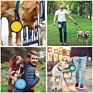 Collapsible Dog Bowl Foldable Expandable Cup Dish for Pet Cat Food Water Feeding Portable Travel Bowl