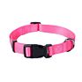 pet belt
