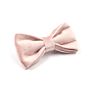 Competitive Price Bow Tie Attractive Design Adjustable Metal Buckle Dog Pink Leash Velvet Set and Collar Luxury