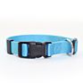 Customize Collar Dog Premium Nylon Webbing Dog Collar