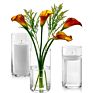 Cylinder Glass Flower Vase for Home Decor