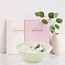 Decorative Cotton Rope Storage Baskets and Gift Basket