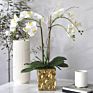 Design Artificial in Pot Uk Phalaenopsis Orchid Silk Flower