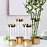 Different Sizes Hydroponic Clear Plant Tall Cylinder Glass Flower Vase