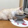 Direct of Pet Ceramic Bowl Japanese Style High Foot Neck Protection Ceramic Cat Bowl