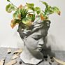 Flowerpot Stands