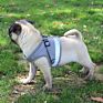 Dog Safety Leash Harness Vest Pet Chest Straps Reflective Dog Harness
