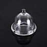 European Style Dish with Glass Dome Lemon Set Cake Plate with Cover