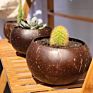 Fancy Handicraft Gift Set Tableware Vietnam Smoothie Salad Vegan Soup Organic Natural Coconut Shell Bowl with Spoon