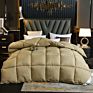 Fast Delivery in Stock Hypoallergenic Quilted Warm down Alternative Comforter