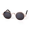 Funny Pet Glass Classic Retro Circular Metal Sunglass for Cat or Small Dog