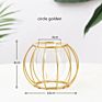 Grace Glass Vase Modern Hydroponic Iron Line Flower Glass and Gold Vases Plant Holder Home Decor Vase Crystal Glass