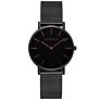 Hannah Martin Ch36 Simple Ladies Quartz Stainless Steel Casual Waterproof Wristwatch Watches for Women