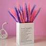 Home Decorative Flower Small Pampas Grass Dried Pampas Grass Natural Fresh Pampas Grass for Decoration