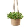 Indoor Rattan Durable Hanging Plant Baskets Flowers Pot Hanging Pots for Garden with Rope Handle