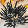 Ins Most Popular Decoration Dried Flowers Pampas Grass Black Pampas for Home or Weddings Decoration