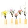 Lazy Plant Growing Holder Tillandsia Wooden Standing Holder Wooden Block Display Rack for Air Plant