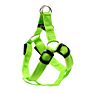 Light for Lovely Pet Dog and Led Safety Lights Led Light up Dog Harness