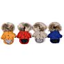 Luxury Pet Clothes Popular Dog Clothes Pet Jacket for Puppy Teddy Hoodie Cat Dog Coat