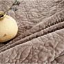 Luxury Super Soft Velour Queen 3 Pieces Embroidery Bedding Set Duvet Quilt
