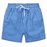 Mens Vertical Stripe Board Shorts