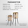 Metal Art Modern Living Room Flower Stand Green Plant Stand a Variety of Craft Plant Stand Indoor