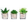 Mini Clear Glass Cube Planters Display Vases Artificial Succulent Plant Pots for Indoor Plants