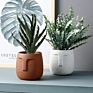 Modern Cement Plant Pot Abstract Face Simple Personality Matt Sandblasting Nordic Indoor Garden Green Planter Pot