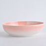Multiple Color Modern Tableware Dessert Pasta Dishes Stoneware Red Plates for Restaurant