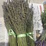 Natural Dried Lavender Flowers Packed in Buches for Home Decoration