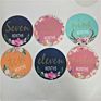 Newborn Photography Props Fun Baby Shower Gifts Baby Milestone Stickers by Baby Nest Designs