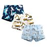 Oxgift Underwear for Children Cute Baby Kids Underwear