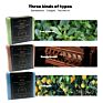 Paraben Free Face & Body Wash Long Lasting Cologne Perfume Man Soap