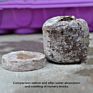 Peat Pellet Seed Starting Plugs Seeds Starter Pallet Seedling Soil Block Pro Garden Tools