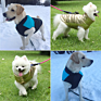 Pet Clothing for Dog Clothes Waterproof Small Dogs Pets Clothing for French Bulldog Puppy Jacket Dogs Vest