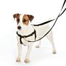 Pet Safe Adjustable Gentle Comfortable Control Easy Walk Dog Harness,Freedom No-Pull Martingale Dog Harness