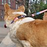 Polyester Pet Collars American Flag Pattern Design Dog Collars