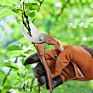 Pruner Pruning Shears and Puncture Proof Gardening Gloves with Claws, Garden Cutter Clippers Garden Secateurs