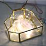 Qy Diamond Shape Hanging Miniature Air Plants Glass Terrarium Vase for Wedding Home Decor