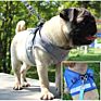 Reflective Cat Dog Adjustable Harness Vest Walking Lead Leash Nylon Mesh Kitten Puppy Leads Pet Clothes Chest Strap