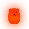 Sitting Room Led Camping Lantern Long Friendship Lighting Beauty Bear Baby Led Lamps for Bedroom