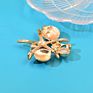 Starfish Brooch Pins Jewelry Rhinestone Pearl Broche Elegant Natural Shell Brooches Lady Brooch Pins