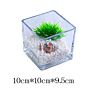 Stock Clear Glass Bud Flower Square Cube Vase