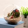 Terrarium round Globe Shape Clear Hanging Glass Vase Flower Plants Terrarium Container Micro Landscape