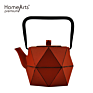 Theiere Fonte Cast Iron Teapot with Stainless Steel Filter 0.8L Tea Pot Kettle